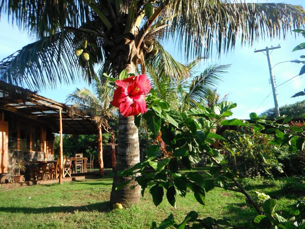 Mamma Nui Glamping Villa Hanga Roa Buitenkant foto