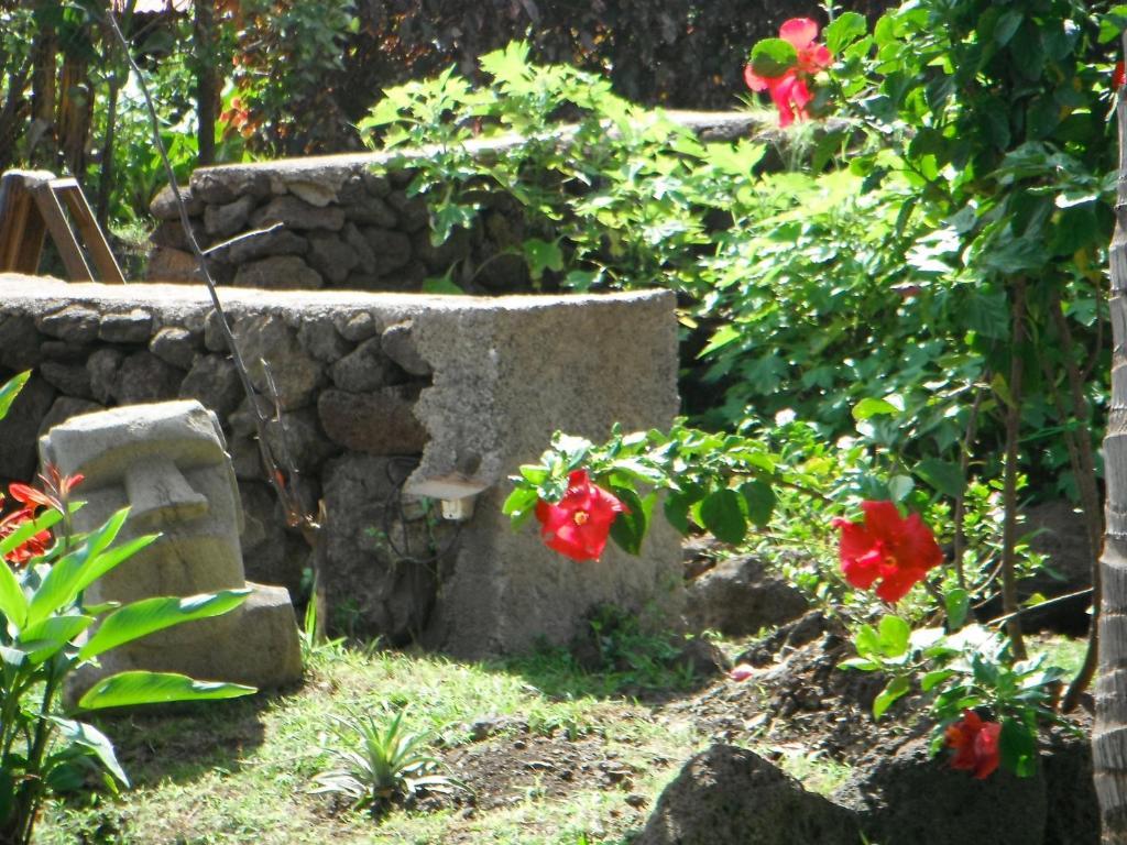 Mamma Nui Glamping Villa Hanga Roa Buitenkant foto